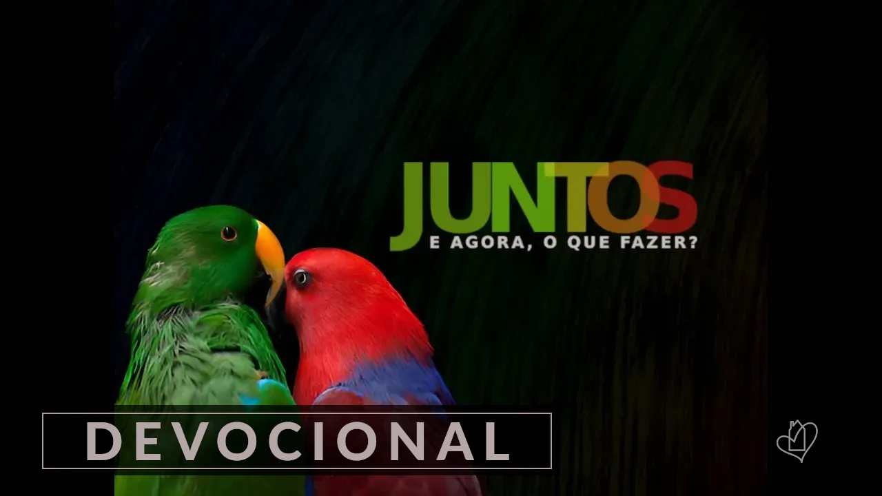 Amor é Mais que Sentimento: É Decisão