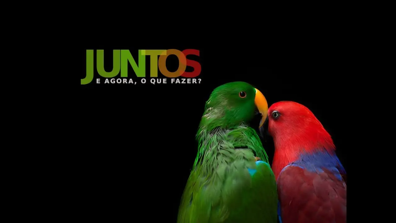 #04: Série Juntos, e agora? Unidade #04: Série Juntos, e agora? Unidade